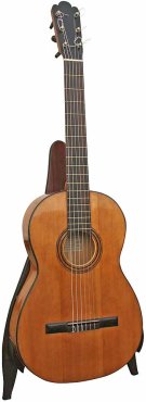 Modern classical guitars are descended from the Torres design 